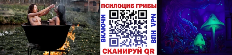 Псилоцибиновые грибы Psilocybe  Калязин 